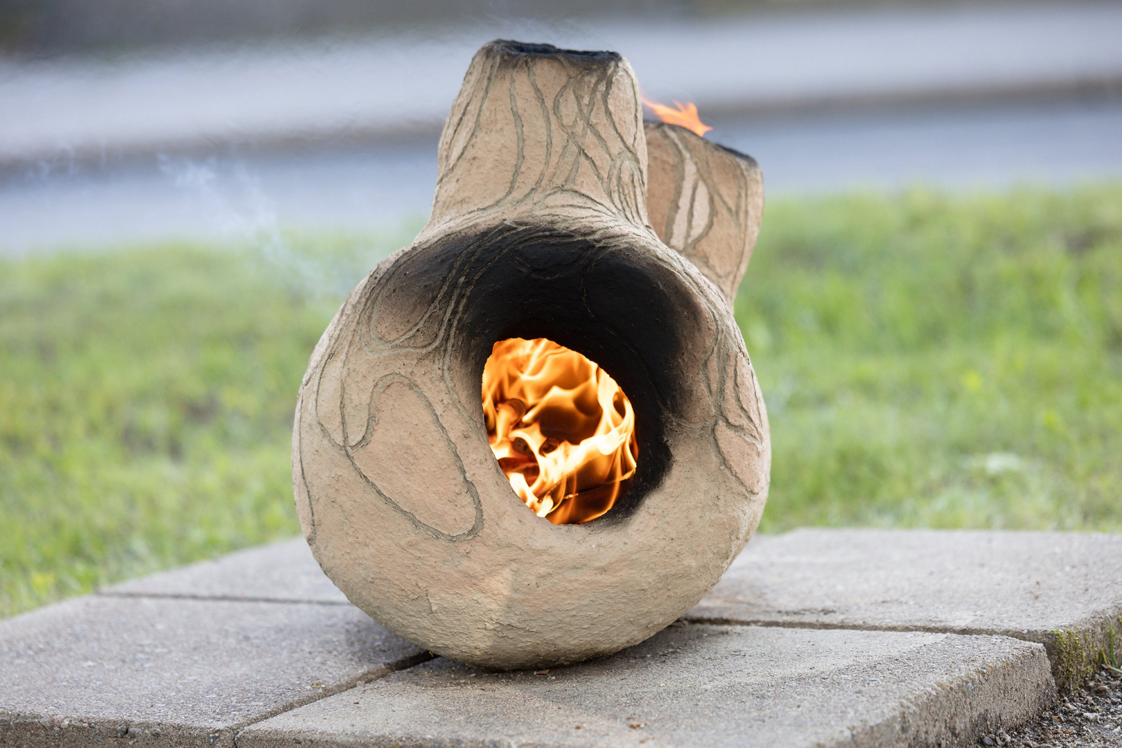 Koivukuja2